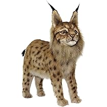 Amazon.co.jp: ハンサ(HANSA) BH8070 ヨーロッパオオヤマネコ 33cm